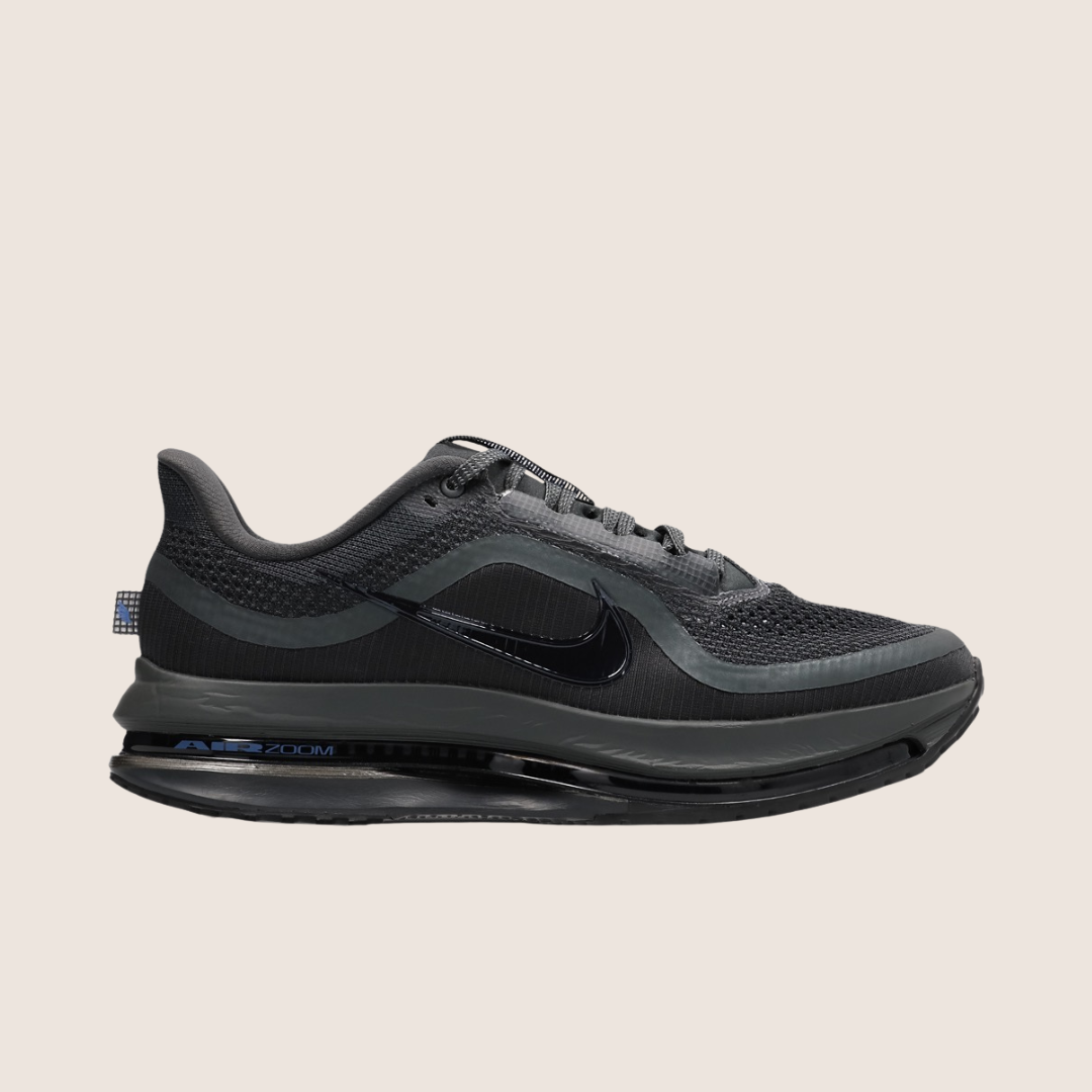 Nike Pegasus Premium - Full Back